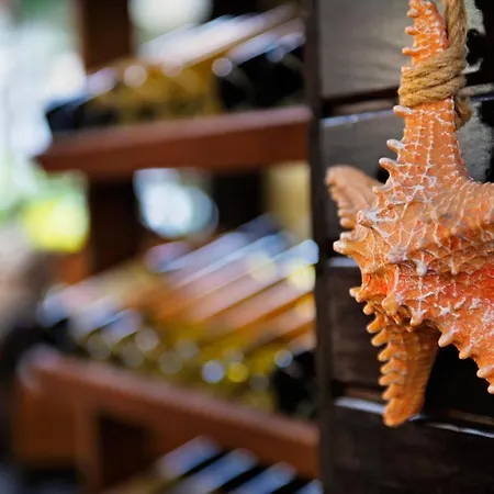 Nocleg ze śniadaniem Lukkies Çıralı